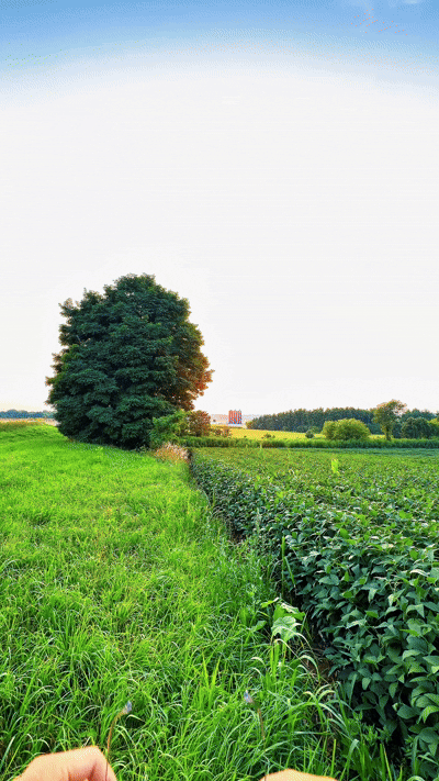 Black Lens™ Sunglasses